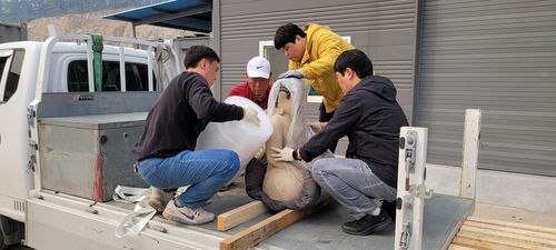 27일 보물 '의성 고운사 석조여래좌상'을 옮기는 모습 [국가유산청 제공. 재판매 및 DB 금지]