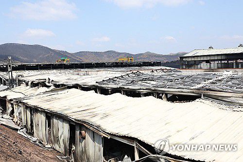'처참하게 변한 안동 남후농공단지'(안동=연합뉴스) 박세진 기자 = 31일 경북 안동시 남후농공단지 한 공장 건물과 자재들이 산불에 타 형체를 알아볼 수 없는 상태로 남겨져있다. 안동시는 이날 남후농공단지 산불 피해 대책위원회 임시사무실에서 1차 '산불 피해기업 원스톱 지원센터'를 운영한다. 2025.3.31 psjpsj@yna.co.kr