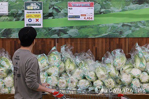 작년보다 50% 가격 오른 배추(서울=연합뉴스) 신현우 기자 = 23일 서울 시내 한 마트를 찾은 시민이 배추 가격을 보고 있다.     이날 한국농수산식품유통공사 집계에 따르면 이달 평균 배추 가격은 작년보다 50% 비싼 수준이다. 2025.3.23 nowwego@yna.co.kr