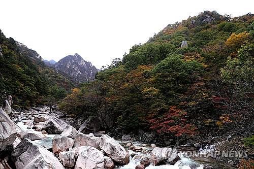 설악산[연합뉴스 자료사진]