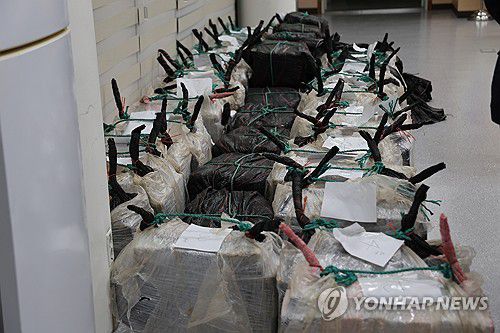 강릉 옥계항서 압수한 코카인 의심 물질(동해=연합뉴스) 3일 오후 강원 동해시 동해지방해양경찰청에 전날 강릉 옥계항 한 선박에서 압수한 코카인 의심 물질이 놓여 있다. 2025.4.3 [동해지방해양경찰청 제공. 재판매 및 DB 금지] ryu@yna.co.kr