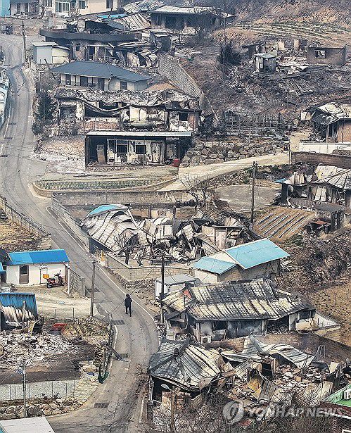 산불 휩쓸고 간 영덕(영덕=연합뉴스) 윤관식 기자 = 26일 경북 영덕군 영덕읍 매정1리 마을 대부분 주택이 산불에 불타 폐허로 변해 있다.     영덕에서는 이번 산불로 다수의 사망자가 발생했다. 2025.3.26 psik@yna.co.kr