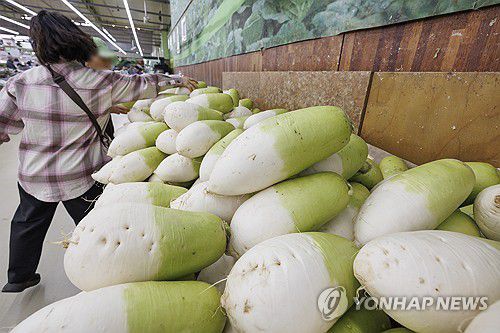 3월 물가 2.1% 상승, 무 가격 오름폭 커(서울=연합뉴스) 황광모 기자 = 소비자물가가 석 달 연속 2%대 오름세를 나타낸 것으로 조사된 2일 서울 서초구 농협 하나로마트 양재점을 찾은 시민들이 채소 판매대에서 무와 배추를 고르고 있다.     이번 조사에서 축산물(3.1%)과 수산물(4.9%)에서 오름폭이 큰 것으로 조사됐는데, 특히 무(86.4%), 배추(49.7%), 양파(26.9%) 가격의 오름폭이 컸다. 2025.4.2 hkmpooh@yna.co.kr