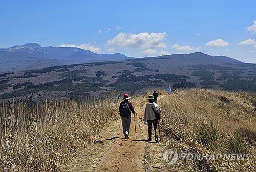 오름 걷기 좋은 날(제주=연합뉴스) 전지혜 기자 = 맑은 봄 날씨를 보인 6일 제주시 애월읍 노꼬메오름에서 탐방객이 산행하고 있다. 2025.4.6 atoz@yna.co.kr