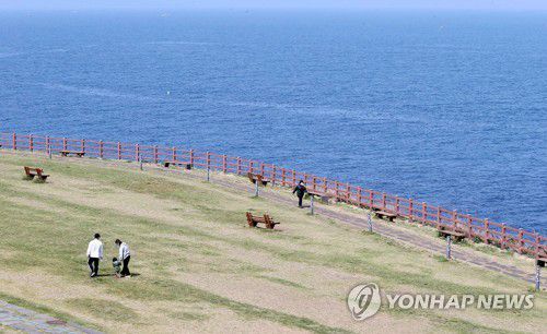 여유로운 제주의 봄[연합뉴스 자료사진]