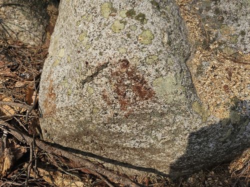 경주 남산 용장계 사곡 제1사지 약사여래좌상에 남은 소나무 껍질 흔적[독자 제공. 재판매 및 DB 금지]
