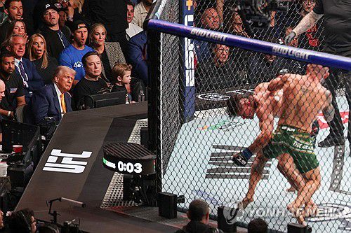 UFC 경기 지켜보는 트럼프 대통령[게티이미지 AFP=연합뉴스]