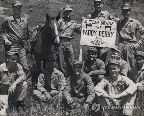 한국전쟁 전장의 제주마 '레클리스'[한국마사회 제주본부 제공.재판매 및 DB 금지]