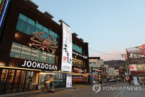 영덕 대게 본고장 영덕 강구항 자료 사진 (영덕=연합뉴스) 진성철 기자 = 1월 9일 경북 영덕군 강구면 강구항. 영덕 대게와 대게 전문 식당으로 유명하다.  2023.1.9  zjin@yna.co..kr