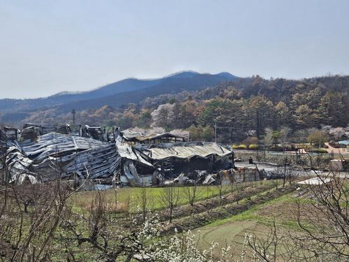 "봄은 왔지만"(의성=연합뉴스) 김선형 기자 = 산불로 폐허가 된 경북 의성군 지난 16일 전경. 2025.4.16