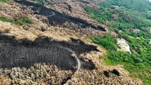 2022년 5월 밀양 산불 피해지 모습[황정석 산불정책기술연구소장 제공. 재판매 및 DB 금지]