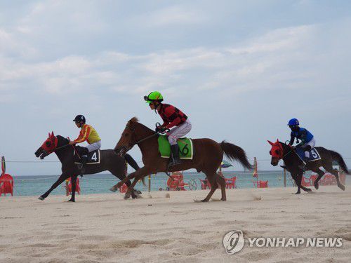 곽지해수욕장서 열린 제주마 해변경주(서울=연합뉴스) 2019년 7월 7일 제주도 곽지해수욕장에서 열린 제주마 해변경주에서 경주마가 백사장을 달리고 있다. [연합뉴스 자료사진]