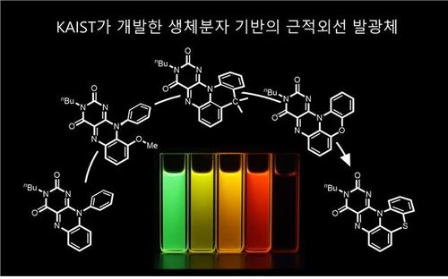 생체 내 형광분자 기반 근적외선 발광체 [KAIST 제공. 재판매 및 DB 금지]