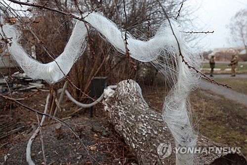 연합뉴스