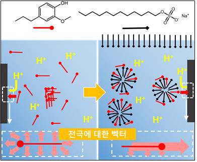 전극에 대한 방향 배열 모식도[KIST 제공. 재판매 및 DB 금지]