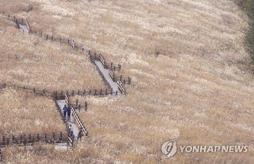 울산 영남알프스[연합뉴스 자료사진]
