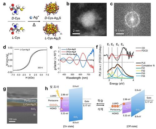 카이랄 은황화물 양자점 합성 [KAIST 제공. 재판매 및 DB 금지]