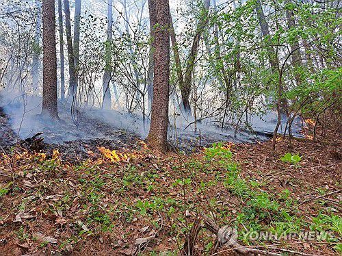 강원 홍천서 발생한 산불(홍천=연합뉴스) 27일 낮 강원 홍천 두촌면 원동리에서 산불이 나 산림·소방 당국 등이 진화 작업을 벌이고 있다. 사진은 산불이 난 현장의 모습. 2025.4.27 [강원특별자치도소방본부 제공. 재판매 및 DB 금지] taetae@yna.co.kr