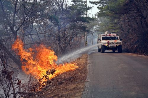 다목적 산불진화차량[산림청 제공. 재판매 및 DB 금지]