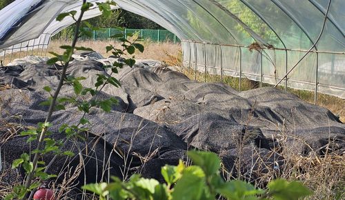 검은 가림막에 덮인 청동기 유적 고인돌[촬영 이재현]