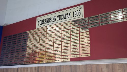 '유카탄의 한국인, 1905년' 명판[촬영 이재림 특파원]
