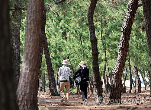 건강도 챙기고 더위도 식히고[연합뉴스 자료사진]