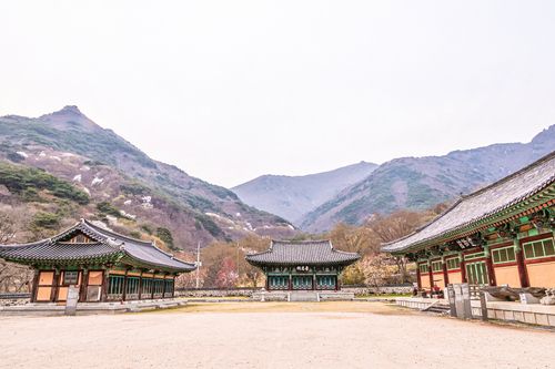 표충서원과 표충사당, 표충사 유물관(왼쪽부터)[사진/백승렬 기자]