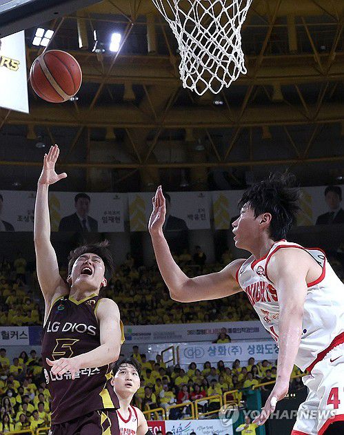 LG 양준석 슛(창원=연합뉴스) 김동민 기자 = 9일 경남 창원체육관에서 열린 2024∼2025시즌 프로농구 창원 LG 세이커스와 서울 SK 나이츠의 챔피언결정전 3차전 경기. LG 양준석이 슛하고 있다. 2025.5.9 image@yna.co.kr