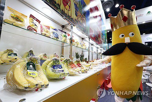 '바나나 왕의 등장'(서울=연합뉴스) 김성민 기자 = 20일 서울 강남구 코엑스에서 열린 식품 종합전시회 '2024 코엑스 푸드위크'에서 바나나 인형 탈을 홍보모델이 바나나에 대해 설명하고 있다. 2024.11.20 ksm7976@yna.co.kr