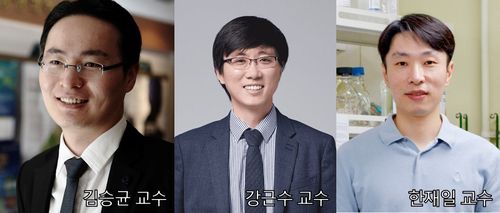 김승균 교수 공동 연구팀 [충남대 제공. 재판매 및 DB 금지]