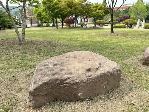 계명대 행소박물관으로 옮겨진 암각석[촬영 윤관식]