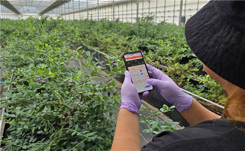 휴대전화로 온도, 습도 조절[최세호씨 제공.재판매 및 DB금지]