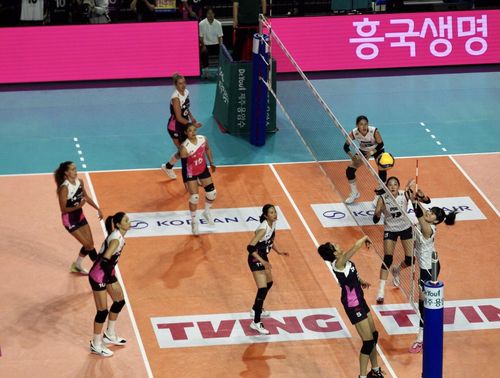 여자배구 세계올스타팀과 한국 여자대표팀간 경기[촬영 이동칠]