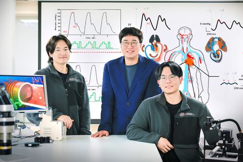 심혈관 모사장치 개발한 경희대 연구팀왼쪽부터 정구윤 연구원, 박윤석 교수, 유정민 연구원. [유정민 연구원 제공. 재판매 및 DB 금지]