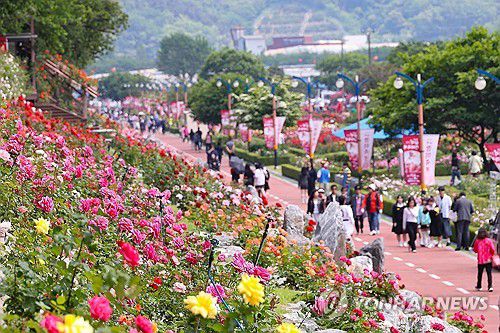 삼척장미축제 오세요(삼척=연합뉴스) '2025 삼척장미축제'가 개막한 23일 강원 삼척시 오십천 장미공원에 관람객들의 발길이 이어지고 있다.     장미공원은 약 8만5천㎡ 부지에 220여 종, 16만 그루 이상의 장미가 식재돼 6월 1일까지 이어지는 축제 기간 천만 송이의 장미가 만개해 장관을 이룰 예정이다. 2025.5.23 [삼척시 제공. 재판매 및 DB 금지] yoo21@yna.co.kr