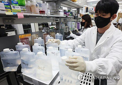 비브리오패혈증균 감시 철저[연합뉴스 자료사진]