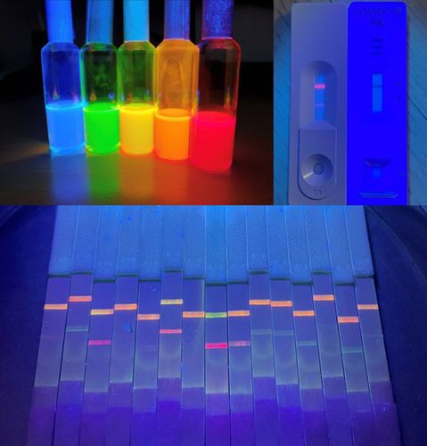 유니크닷이 개발한 양자점 소재와 제품들[유니크닷 제공. 재판매 및 DB 금지]
