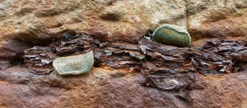 자이언트 코즈웨이에 박힌 동전[내셔널 트러스트 홈페이지 캡처. 재판매 및 DB 금지]