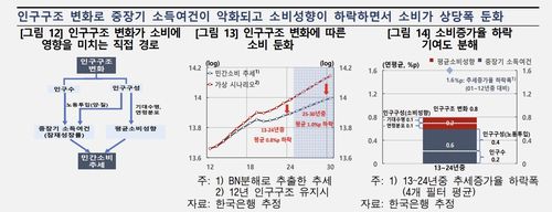 인구구조 변화와 소비 둔화[한국은행 제공. 재판매 및 DB 금지]