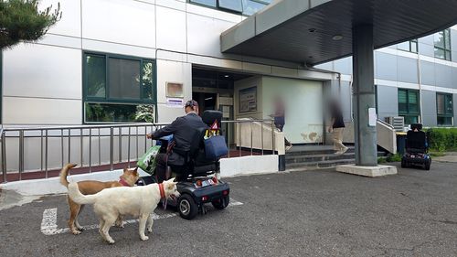 수원시 장안구 보훈복지타운 관리동 1층 조원1동 제5투표소[촬영 김솔]