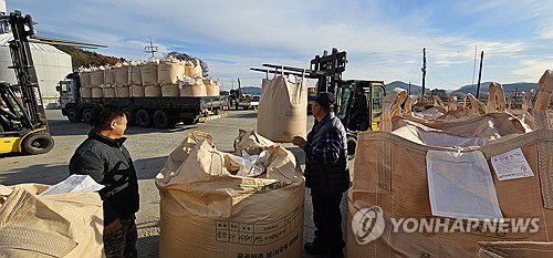 태안군 공공비축미 수매(태안=연합뉴스) 19일 충남 태안군 원북면 태안군농협쌀조합공동사업법인 미곡종합처리장에서 공공비축 건조벼 수매가 진행되고 있다. 2024.11.19 [독자 가우현 씨 제공. 재판매 및 DB 금지] cobra@yna.co.kr