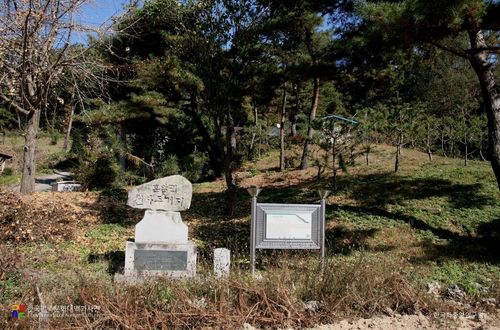 여주 흔암리 선사유적사진 출처 : 한국학중앙연구원