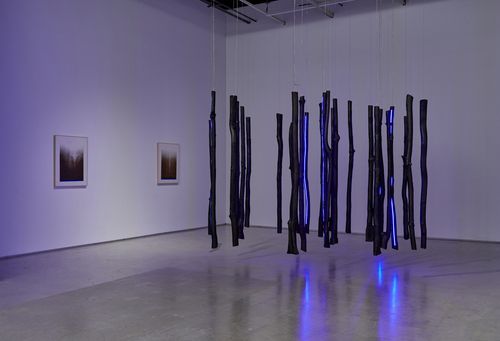 지븨 리의 'Illumination of the tears'(눈물의 빛), 2025[더페이지 갤러리 제공. 재판매 및 DB 금지]