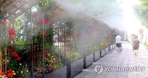 무더운 날씨…. 시원한 물안개길[연합뉴스 자료사진]