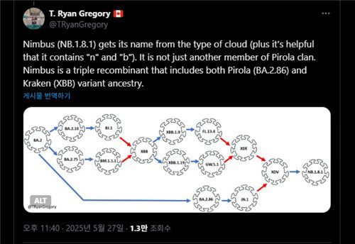 코로나19 '님버스 변이' 이름 유래 설명하는 게시물 (서울=연합뉴스) 2025년 5월 27일 캐나다의 진화생물학자 T. 라이언 그레고리가 코로나19 바이러스의 '님버스' 변이에 이런 이름이 붙은 이유를 설명하기 위해 소셜미디어 X에 올린 글. [X @TRyanGregory 게시물 캡처. DB 및 재판매 금지] 2025.6.12.