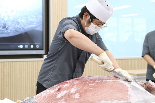 가톨릭관동대에서 열린 참치 해체 시연회[가톨릭관동대 제공. 재판매 및 DB 금지]