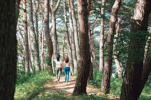 내장산 산책길[정읍시 제공. 재판매 및 DB 금지]