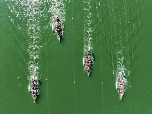 레이스 경기 모습[물길로 제공.재판매 및 DB 금지]
