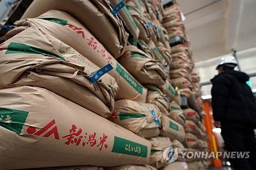 일본 정부 비축미[AFP 연합뉴스 자료사진. 재판매 및 DB 금지]