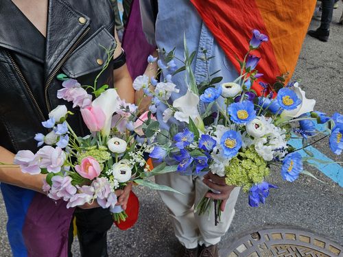 프라이드 플래그 색의 꽃다발[촬영 정윤주]